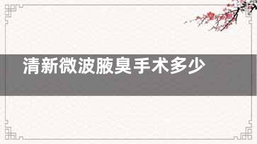 清新微波腋臭手术多少钱？总体价格范围大致在 5000元至30000元 之间
